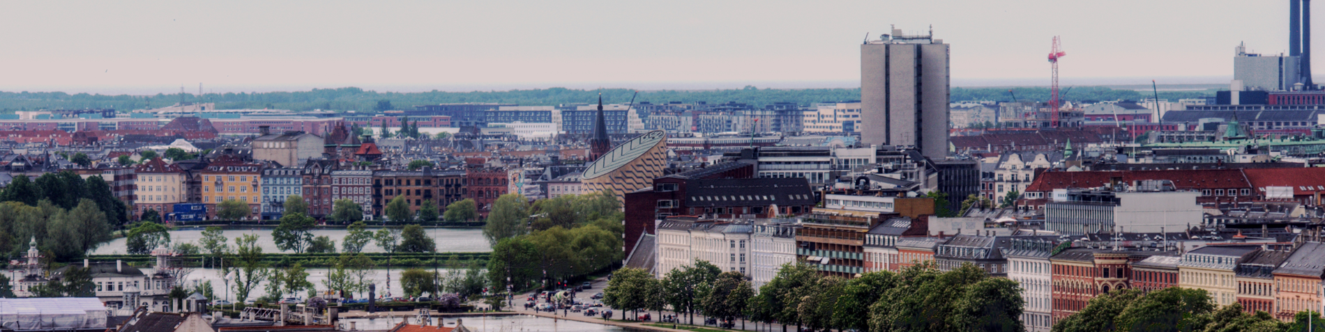 topbanner billede