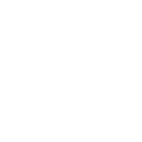 Wire-white.png